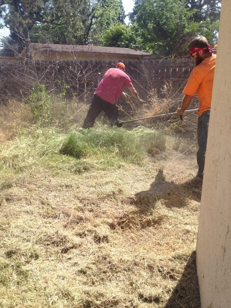 Reliable lawn mowing service in Glendora, CA by Best Tree service