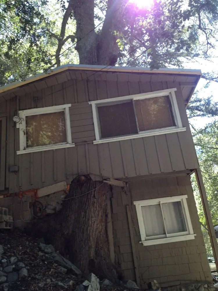 Top-rated landscaping services in Glendora, CA - Best Tree service