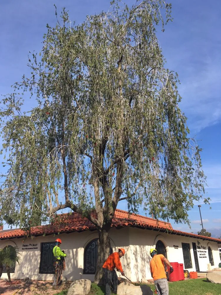Top-rated landscaping services in Glendora, CA - Best Tree service