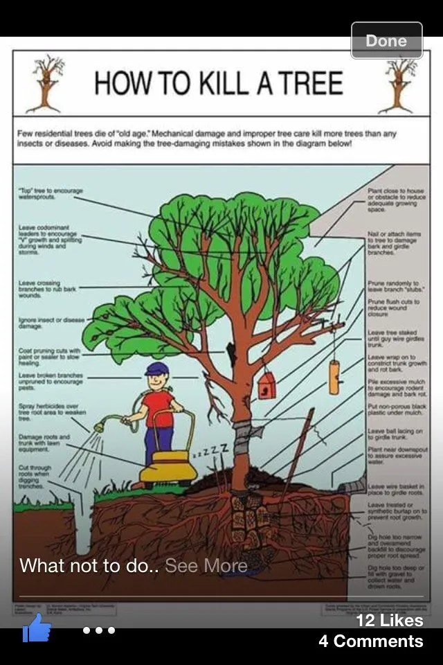 Affordable garden landscaping for beautiful yards across Glendora, CA - Best Tree service