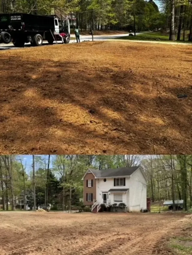 Affordable lawn care service for outdoor upgrades in Fayetteville, GA by Best Tree Service Landscaping & Concrete
