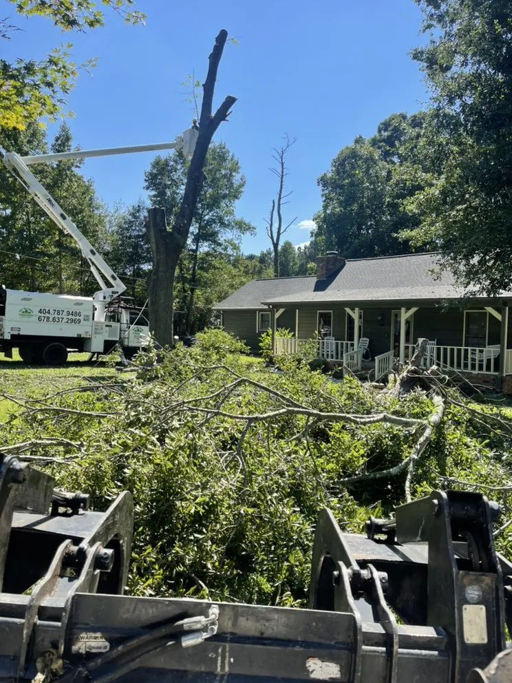 Custom lawn care service for outdoor upgrades in Fayetteville, GA by Best Tree Service Landscaping & Concrete