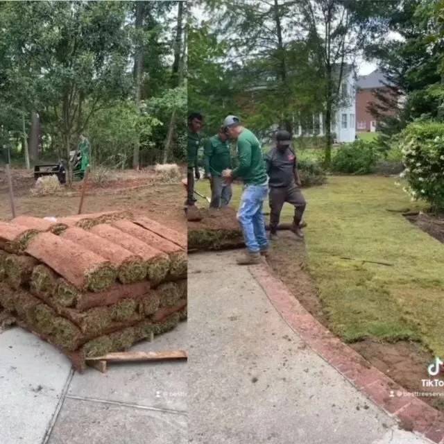 Local yard cleanup service in Fayetteville, GA by Best Tree Service Landscaping & Concrete