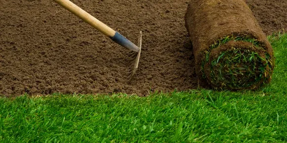 Professional residential landscaping in Jacksonville Beach, FL - Best Tree Service, Landscaping, Bulkheads and Docks