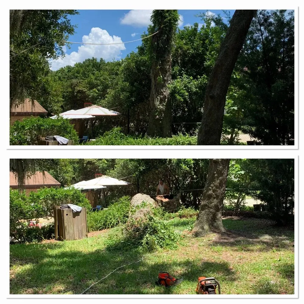 Reliable yard maintenance in Jacksonville Beach, FL - Best Tree Service, Landscaping, Bulkheads and Docks