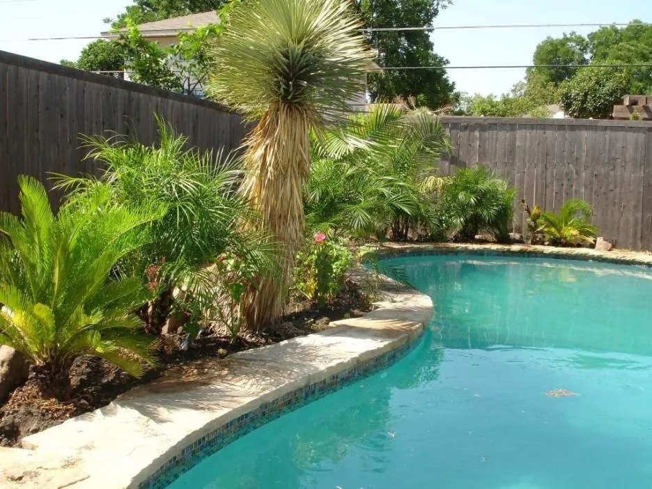 Top-rated landscaping services for year-round maintenance in Jacksonville Beach, FL by Best Tree Service, Landscaping, Bulkheads and Docks