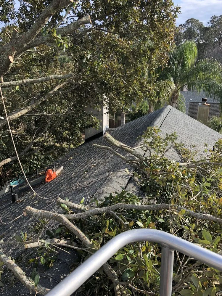 Expert yard cleanup service near you in Jacksonville Beach, FL by Best Tree Service, Landscaping, Bulkheads and Docks