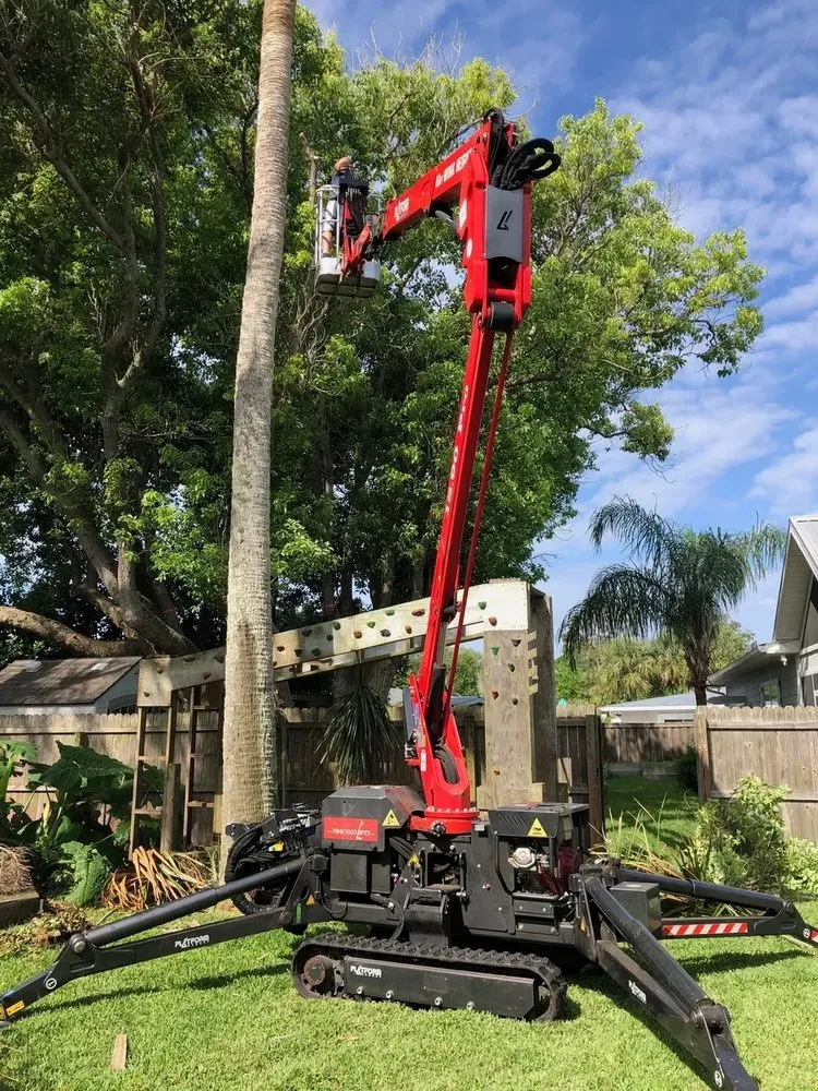 Trusted yard cleanup service for outdoor upgrades across Jacksonville Beach, FL - Best Tree Service, Landscaping, Bulkheads and Docks