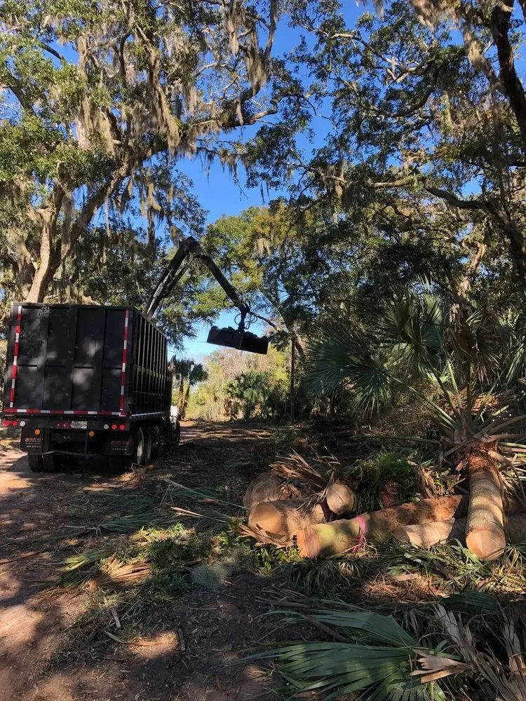 Affordable yard maintenance experts serving Jacksonville Beach, FL - Best Tree Service, Landscaping, Bulkheads and Docks