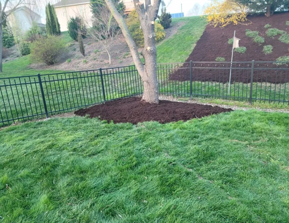 Reliable yard cleanup service in Enola, PA by Best Turf Landscaping