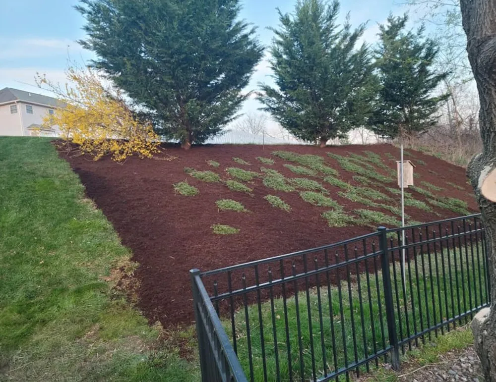 Affordable lawn care service in Enola, PA - Best Turf Landscaping