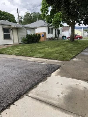 Best Value Landscaping Logo