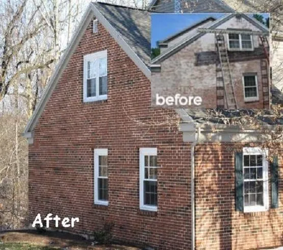 Reliable yard cleanup service experts serving New Cumberland, PA - Best Wash