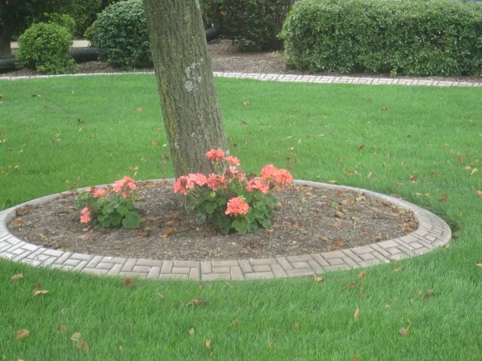 Professional landscaping services for year-round maintenance across New Cumberland, PA - Best Wash