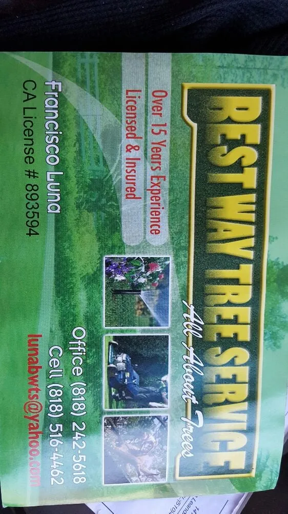 Custom outdoor landscaping experts serving La Cañada Flintridge, CA - Best Way Tree Service