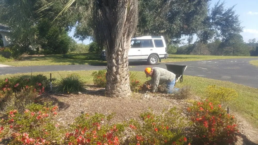 Reliable residential landscaping for beautiful yards in Ocala, FL by Best's Lawn & Landscape