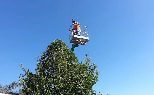 Top-rated landscape installation in Ocala, FL by Best's Lawn & Landscape