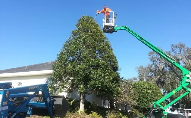 Top-rated lawn care service for beautiful yards across Ocala, FL - Best's Lawn & Landscape