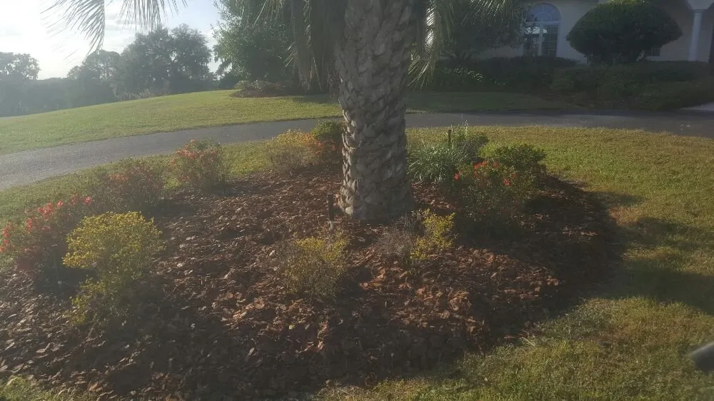 Custom landscaping services experts serving Ocala, FL - Best's Lawn & Landscape