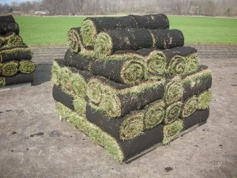 Expert outdoor landscaping in Uniontown, OH by BesTurf