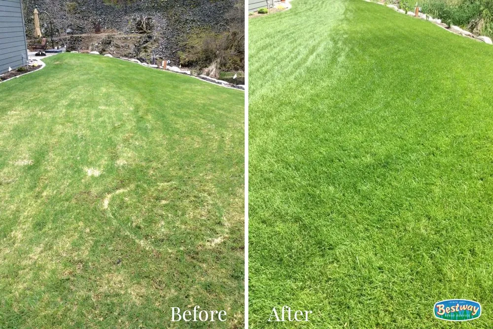 Top-rated yard cleanup service in Coeur D Alene, ID - Bestway