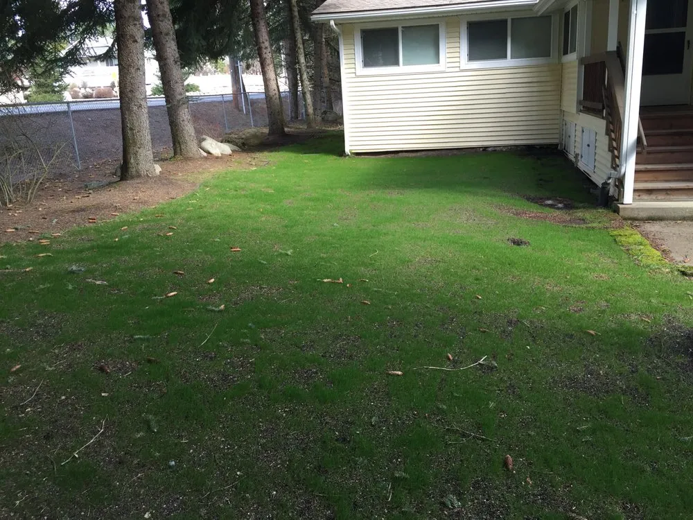 Top-rated garden landscaping near you in Coeur D Alene, ID by Bestway