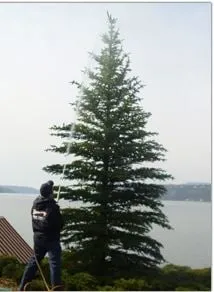 Reliable landscape installation experts serving Coeur D Alene, ID - Bestway