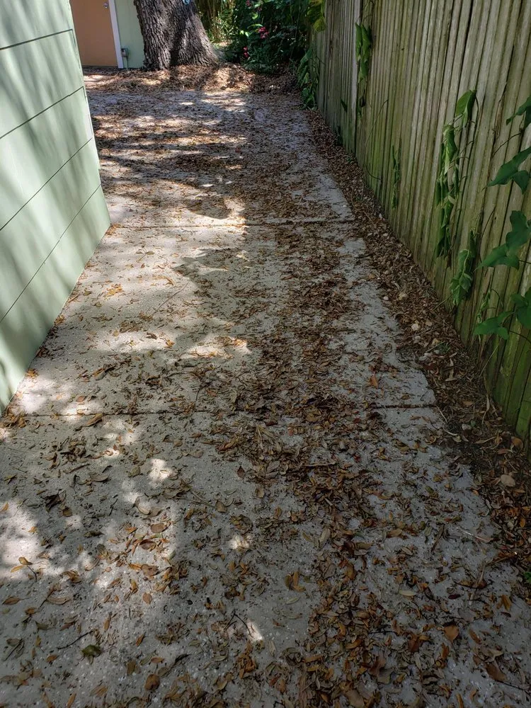 Local outdoor landscaping for outdoor upgrades in Clearwater, FL by Bestway Lawn Care