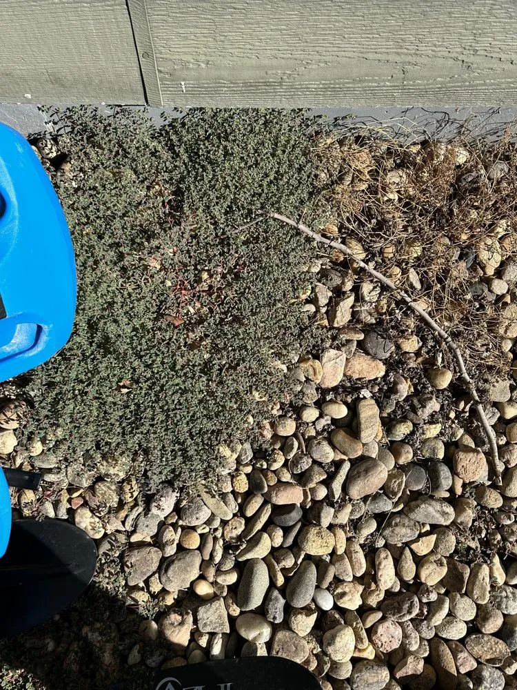 Local landscape installation experts serving Parker, CO - BestYard.com