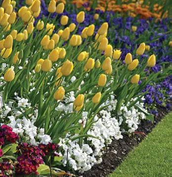 Local landscape design for homes across Parker, CO - BestYard.com