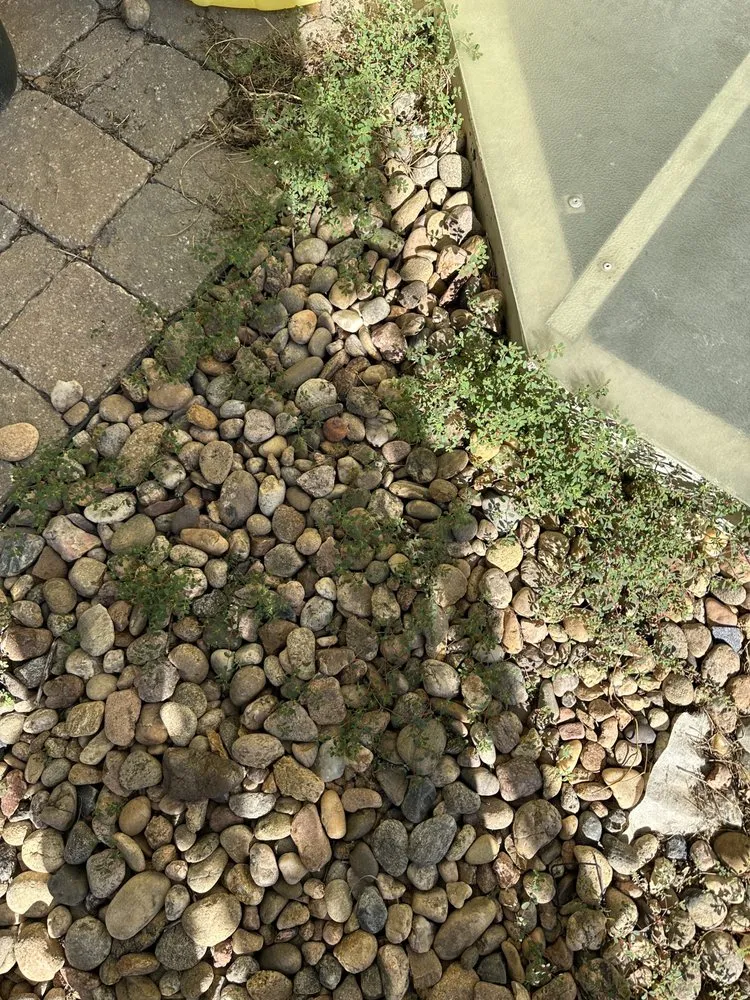 Expert residential landscaping experts serving Parker, CO - BestYard.com