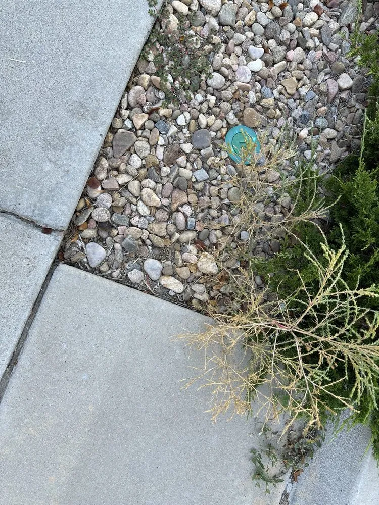 Local residential landscaping in Parker, CO by BestYard.com