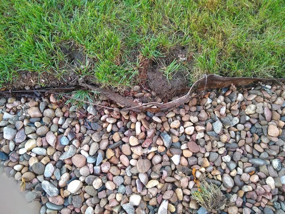 Professional outdoor landscaping in Parker, CO by BestYard.com