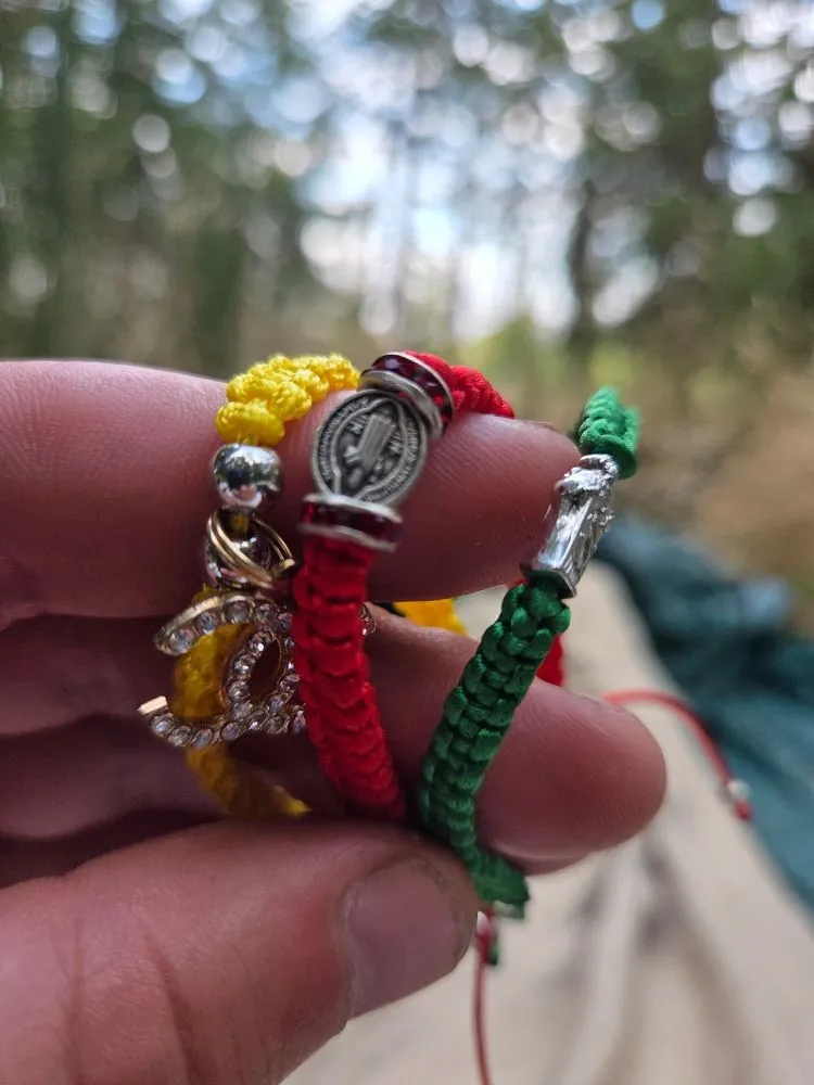 Local yard cleanup service in Federal Way, WA - Bet Er Grean