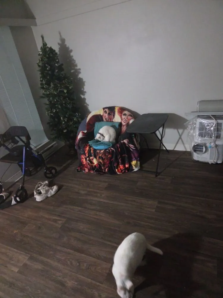 Local residential landscaping in Federal Way, WA - Bet Er Grean