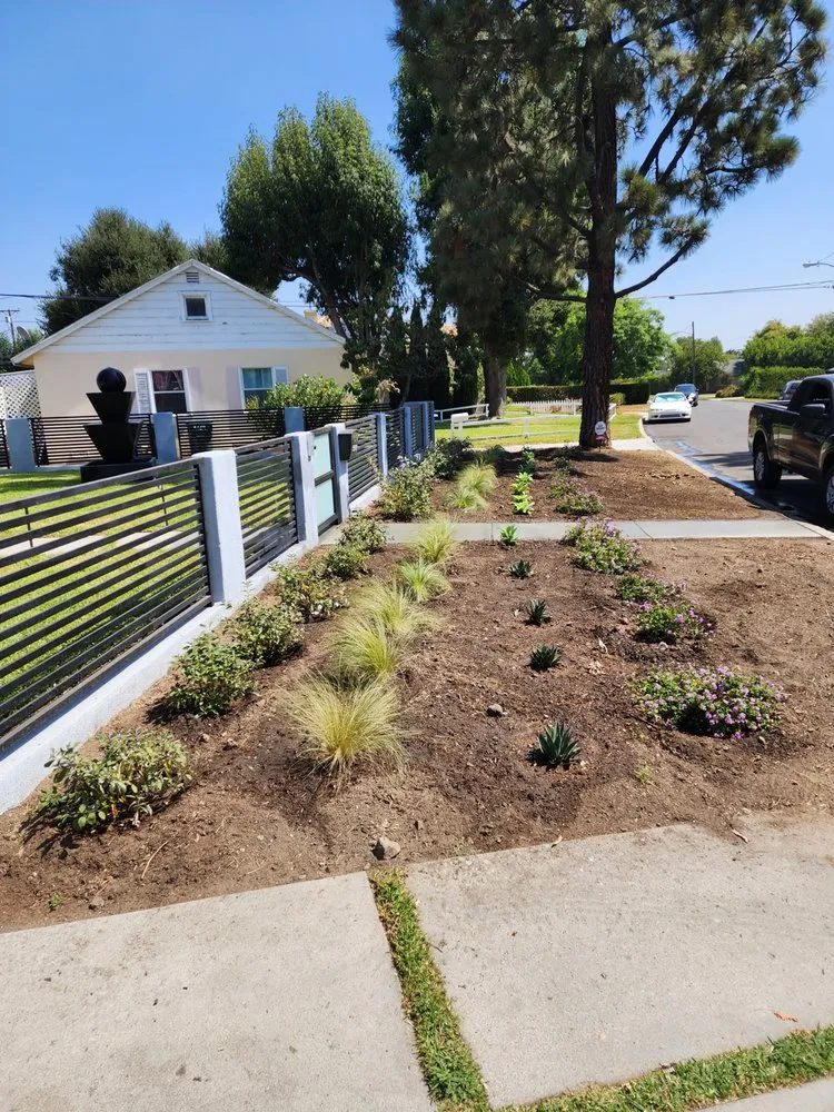 Expert landscape installation in Lynwood, CA - Betancourt Landscaping