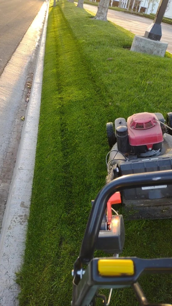 Top-rated landscape design experts serving Lynwood, CA - Betancourt Landscaping