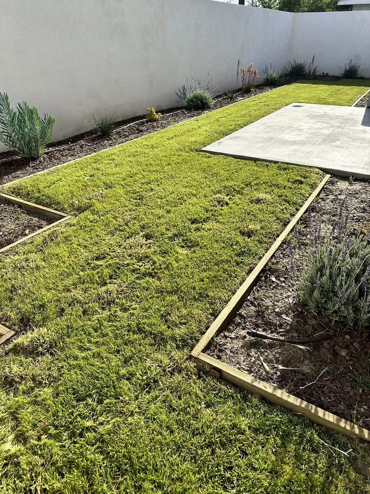 Reliable garden landscaping in Lynwood, CA - Betancourt Landscaping