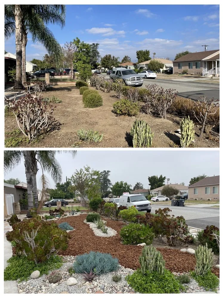 Affordable yard cleanup service for year-round maintenance across Lynwood, CA - Betancourt Landscaping