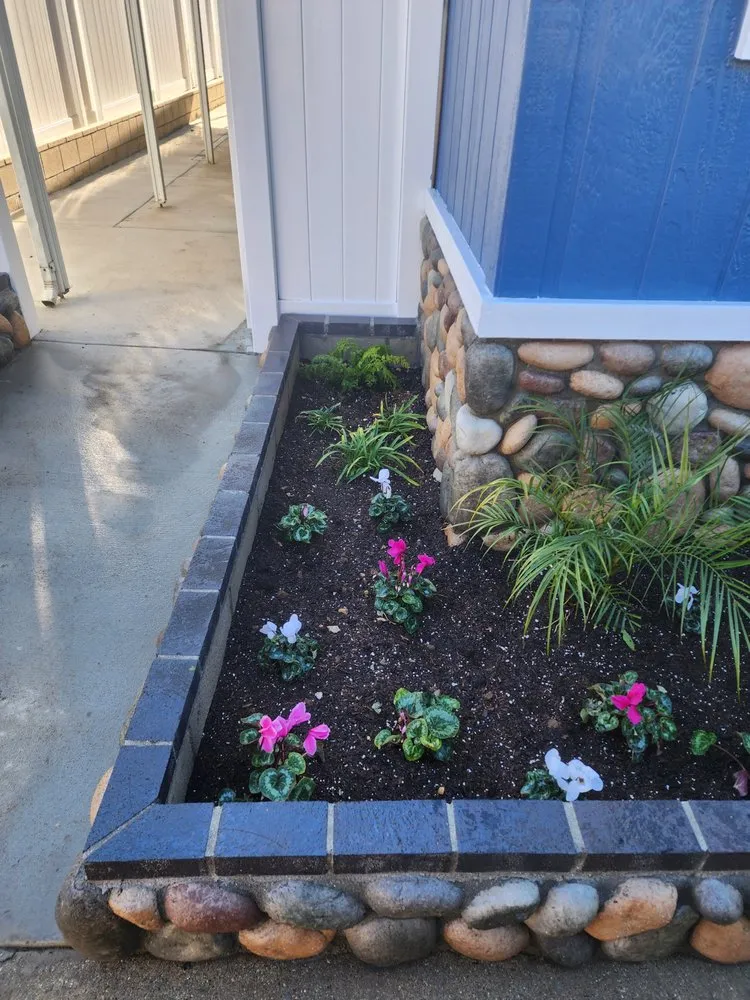 Trusted outdoor landscaping in Lynwood, CA by Betancourt Landscaping