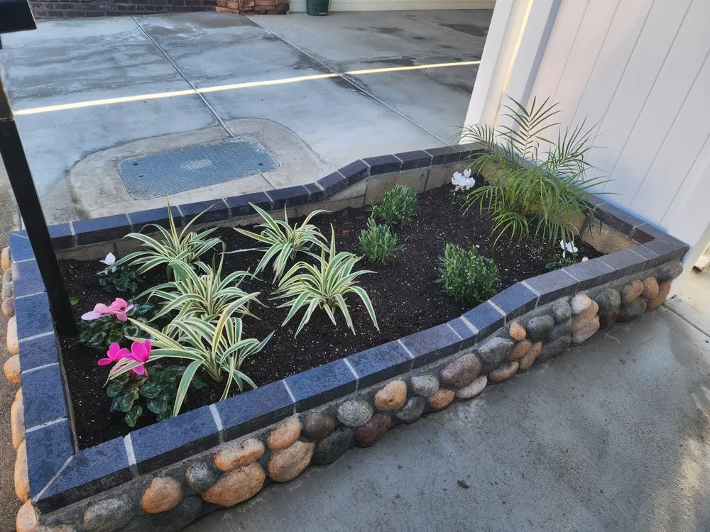 Trusted yard cleanup service with custom design across Lynwood, CA - Betancourt Landscaping