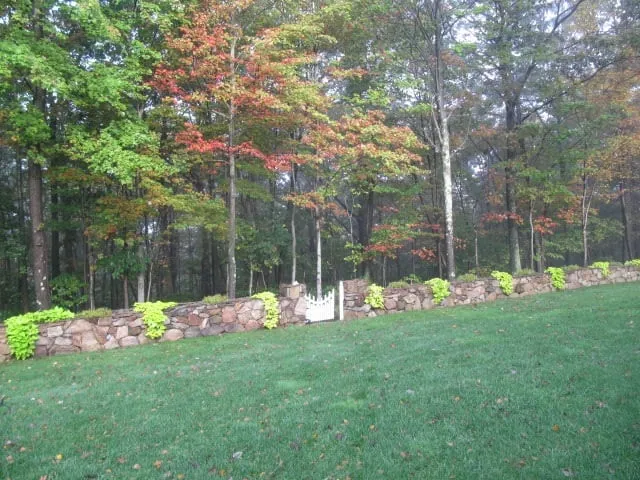 Reliable lawn care service in Prospect, CT by Bethany Mountain Lawn Care