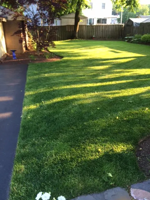 Expert yard maintenance for homes in Prospect, CT by Bethany Mountain Lawn Care