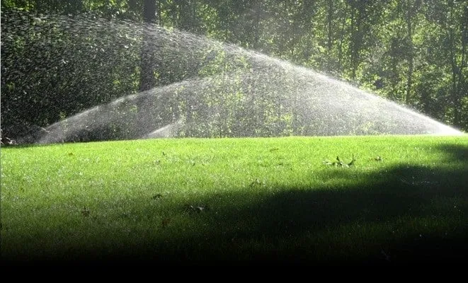 Top-rated yard cleanup service in Prospect, CT - Bethany Mountain Lawn Care