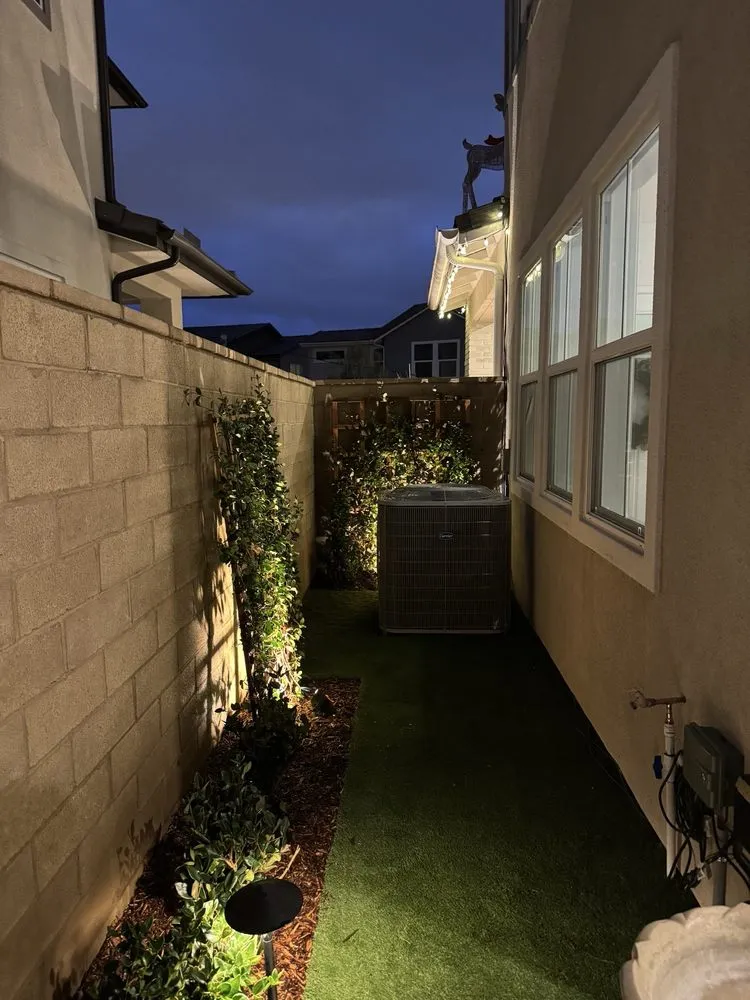 Professional yard cleanup service for year-round maintenance across Irvine, CA - Bethel Construction