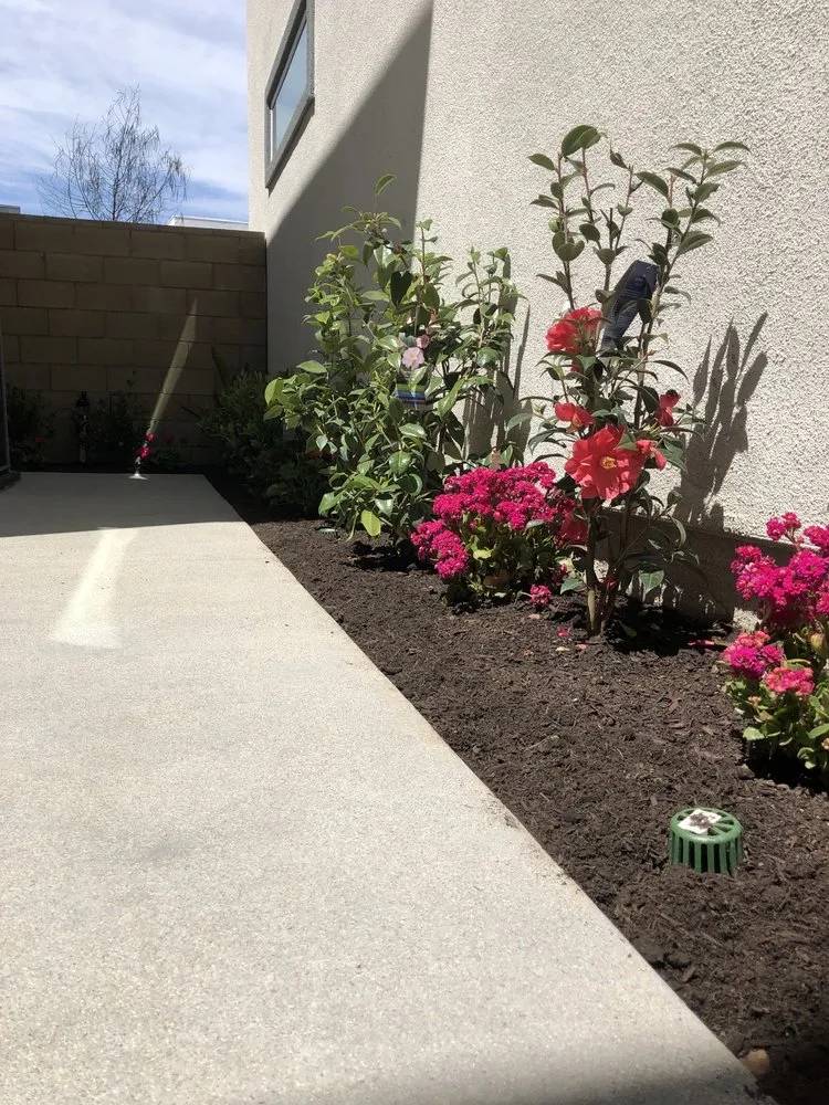 Affordable lawn mowing service in Irvine, CA - Bethel Construction