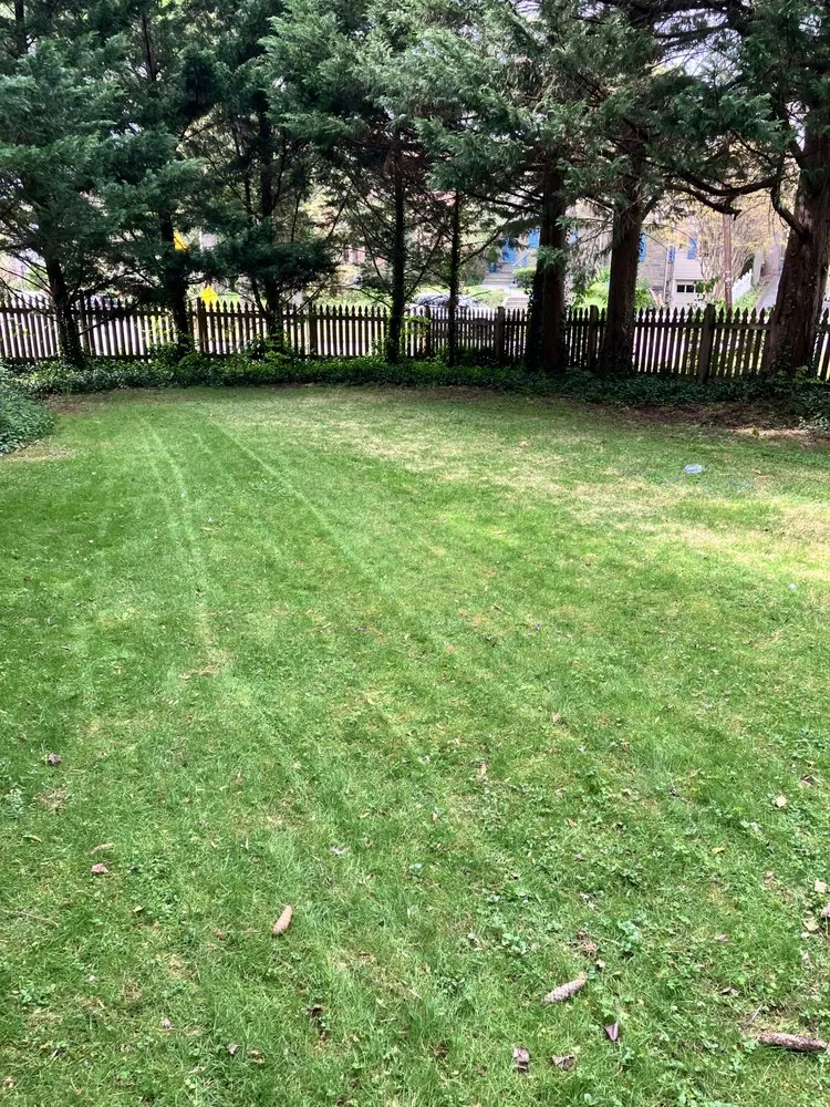 Professional lawn mowing service for beautiful yards in Chevy Chase, MD by Bethesda Chevy Chase Lawn Care