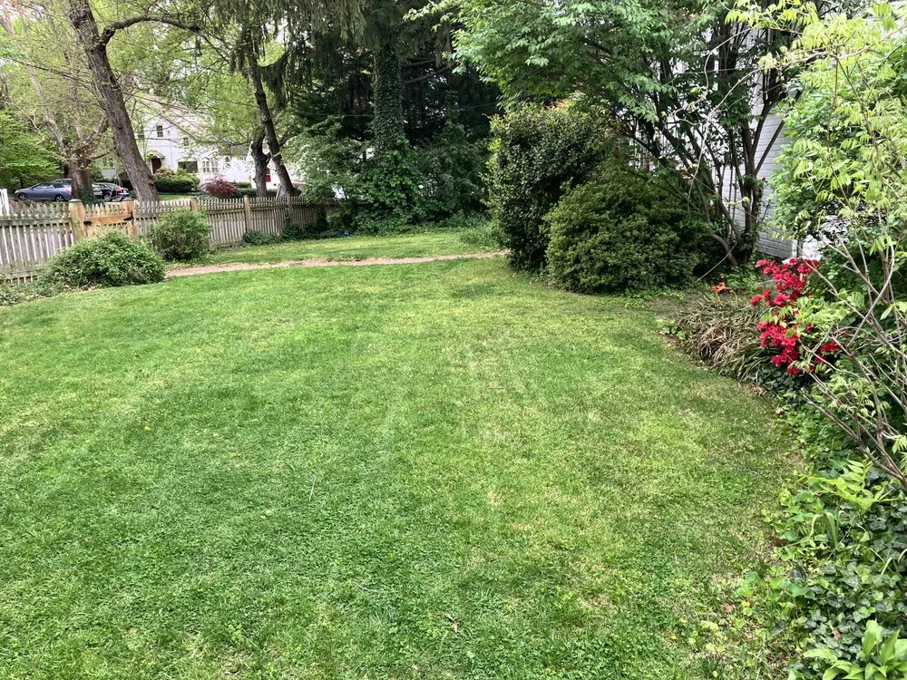 Expert landscape installation for year-round maintenance across Chevy Chase, MD - Bethesda Chevy Chase Lawn Care