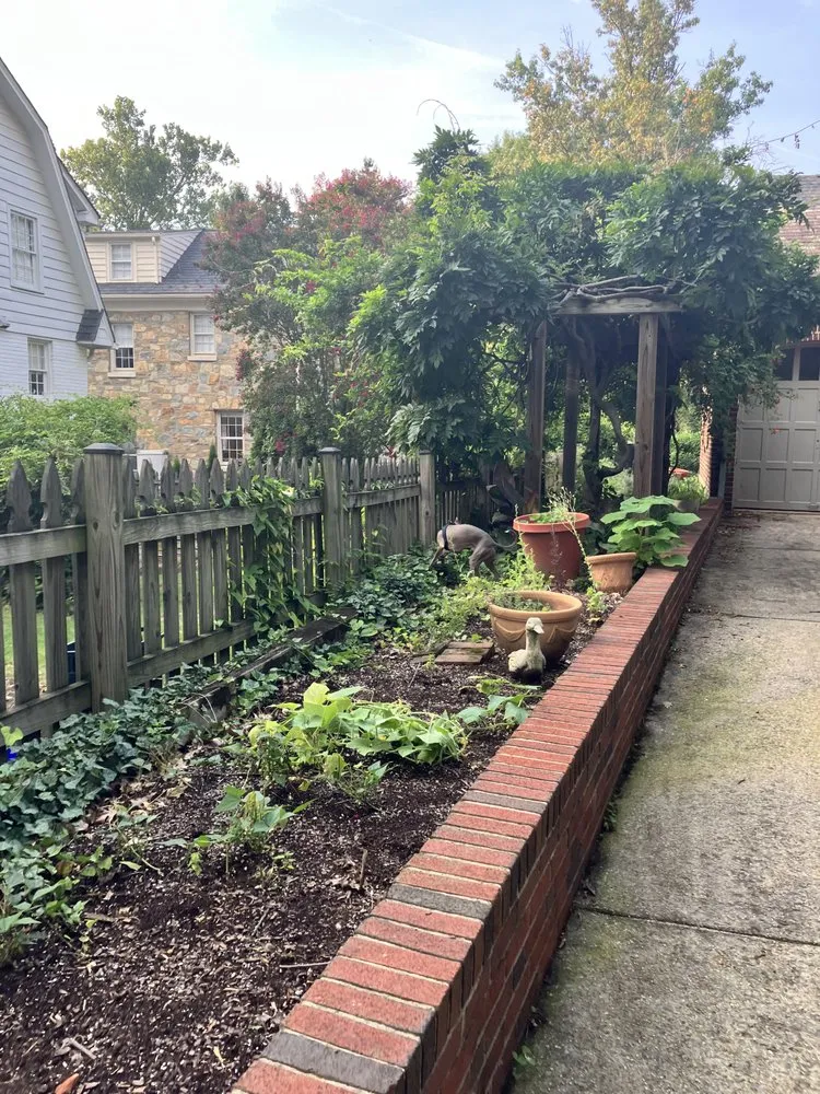 Custom outdoor landscaping experts serving Chevy Chase, MD - Bethesda Chevy Chase Lawn Care