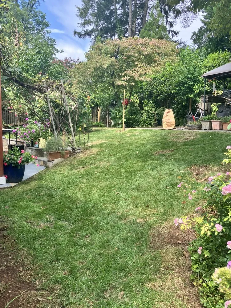 Top-rated residential landscaping experts serving Chevy Chase, MD - Bethesda Chevy Chase Lawn Care